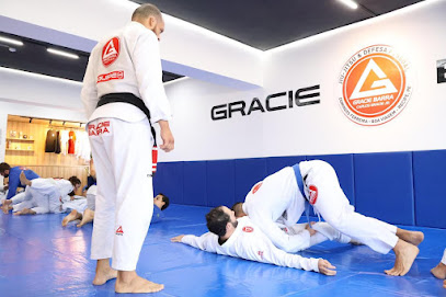 Gracie Barra Domingos Ferreira