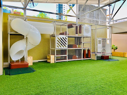 Bosque Buffet Infantil